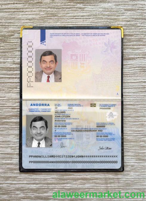Andorra passport photo look
